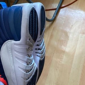 Jordan Indigo 12’s SZ 12 worn one time